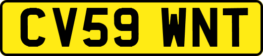 CV59WNT