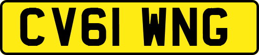 CV61WNG