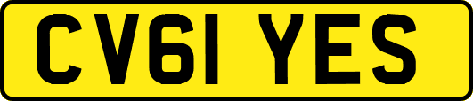CV61YES