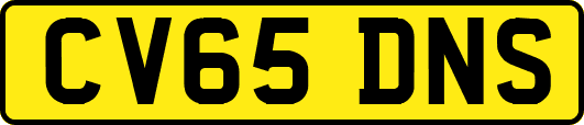 CV65DNS