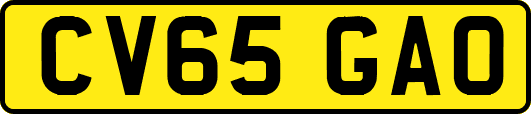 CV65GAO