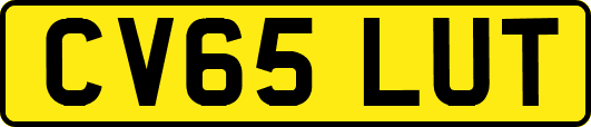 CV65LUT