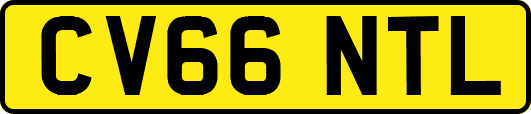 CV66NTL