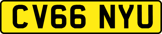 CV66NYU