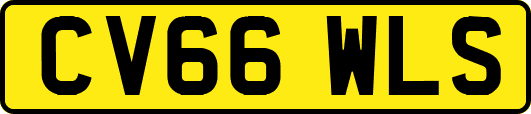 CV66WLS