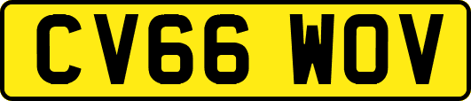 CV66WOV