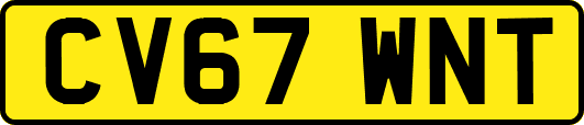 CV67WNT