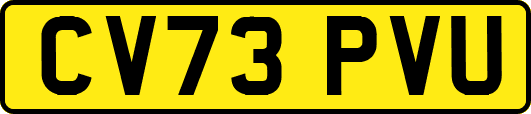 CV73PVU