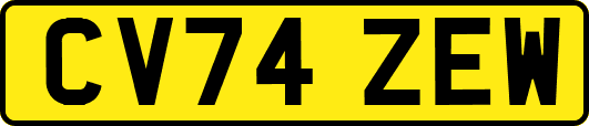 CV74ZEW