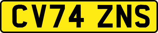 CV74ZNS