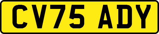 CV75ADY