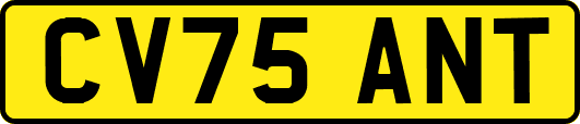 CV75ANT