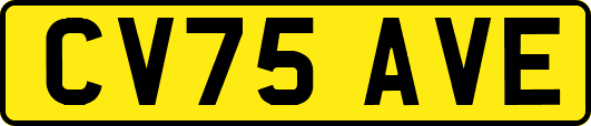CV75AVE