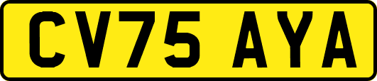 CV75AYA