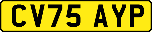 CV75AYP