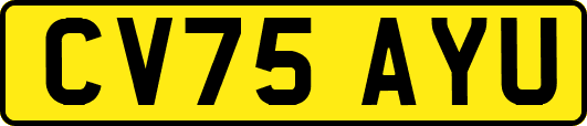 CV75AYU