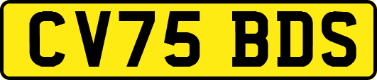 CV75BDS
