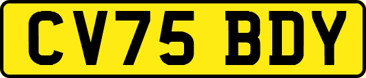 CV75BDY