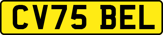 CV75BEL
