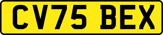 CV75BEX