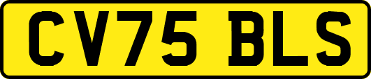 CV75BLS