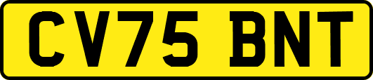 CV75BNT