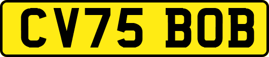 CV75BOB