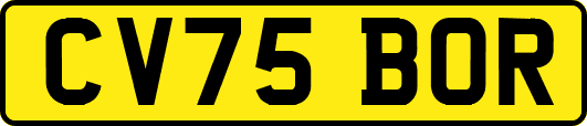 CV75BOR