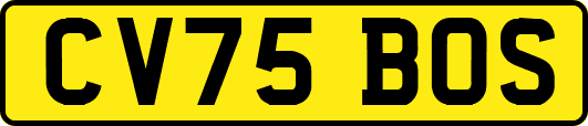 CV75BOS