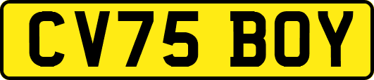 CV75BOY