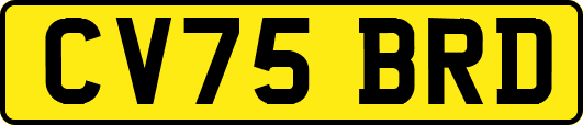 CV75BRD