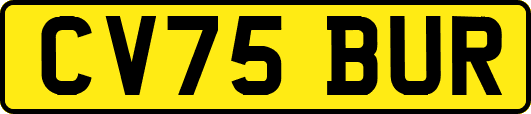 CV75BUR