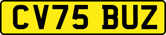 CV75BUZ