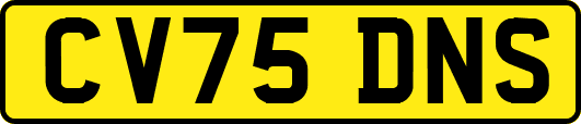 CV75DNS