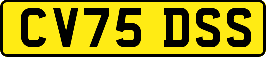 CV75DSS