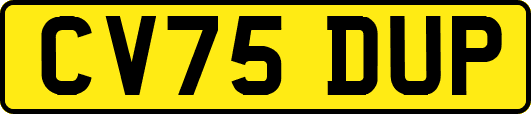CV75DUP