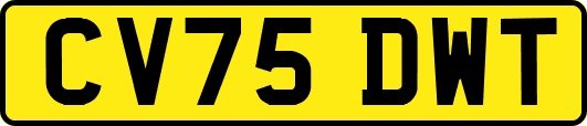 CV75DWT