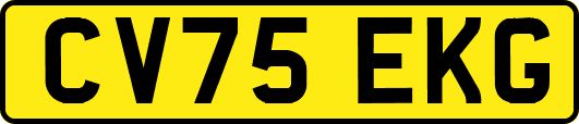CV75EKG