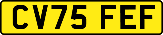 CV75FEF