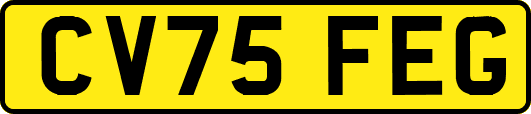 CV75FEG