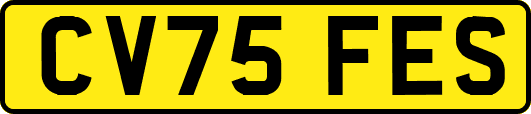 CV75FES