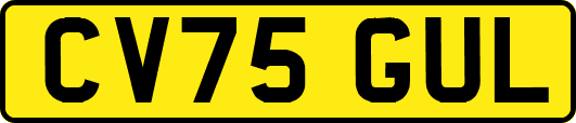 CV75GUL