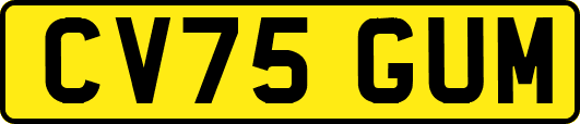 CV75GUM