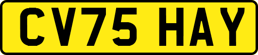 CV75HAY