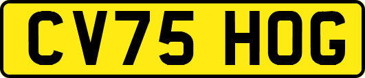 CV75HOG