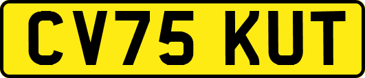 CV75KUT