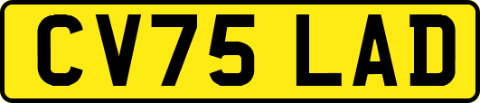 CV75LAD