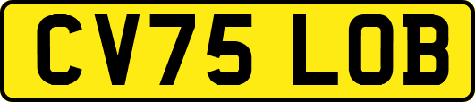 CV75LOB