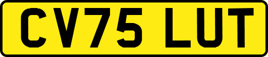CV75LUT