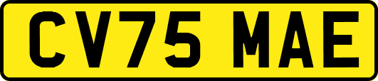 CV75MAE